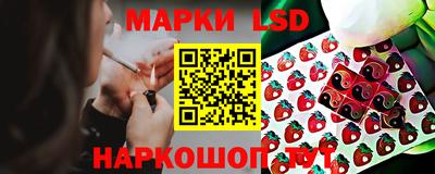 гидропоника Брянск
