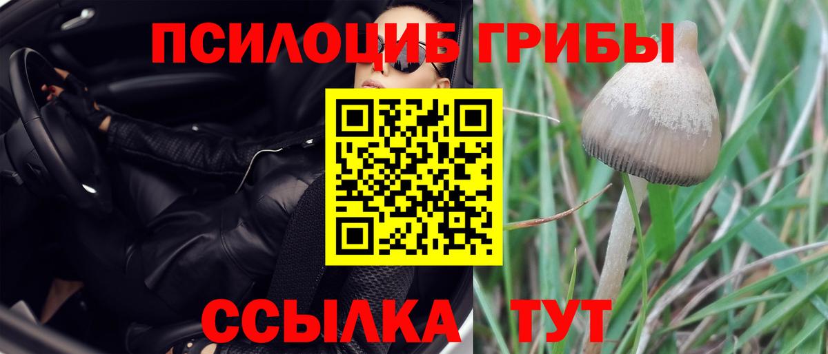 Галлюциногенные грибы прущие грибы  Вход с VPN  Ачинск 